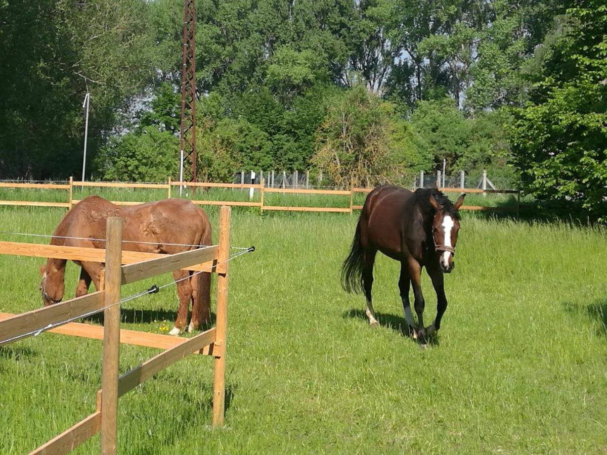 Ferienpark Aparthotel Seeland Schadeleben Bagian luar foto